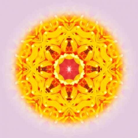 seerosen-mandala