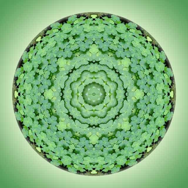 kleeblatt-mandala