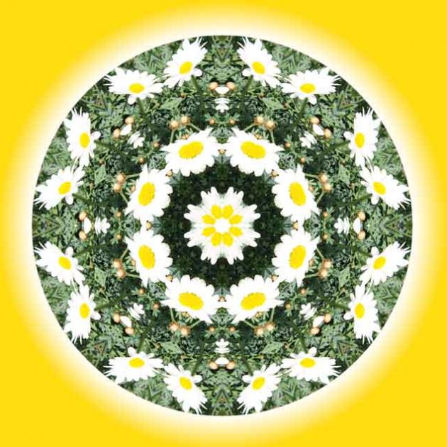margariten-mandala