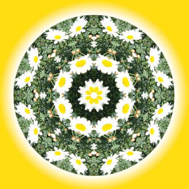 margariten-mandala