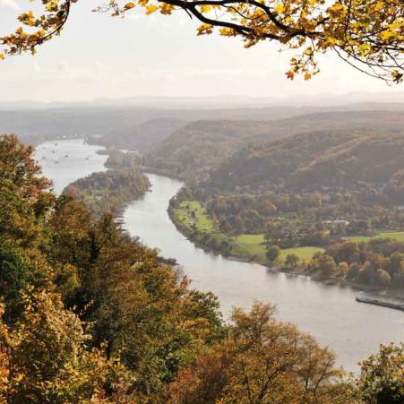 Rhein-drachenfels-herbst-DSC_5091-web