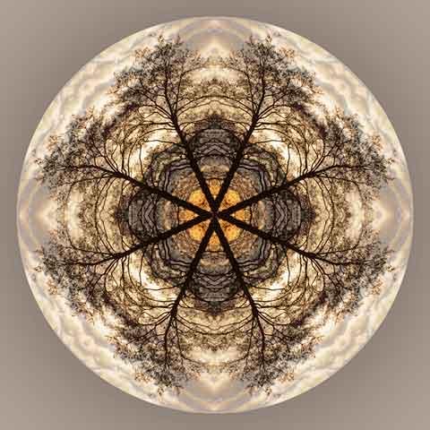 baum-mandala