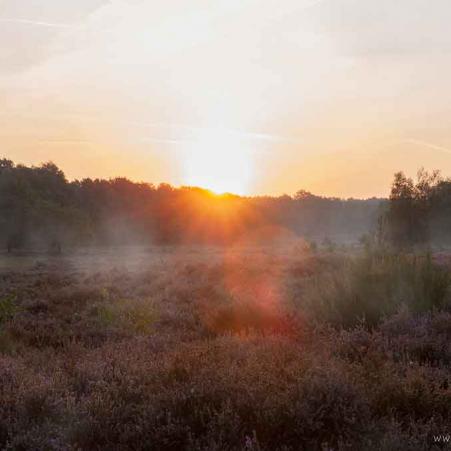 ansicht-wahnerheide_DSC9798-nebel-raw