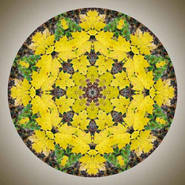 herbstblaetter-mandala