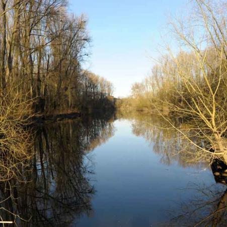 sieg-im-winter-bonn-koeln